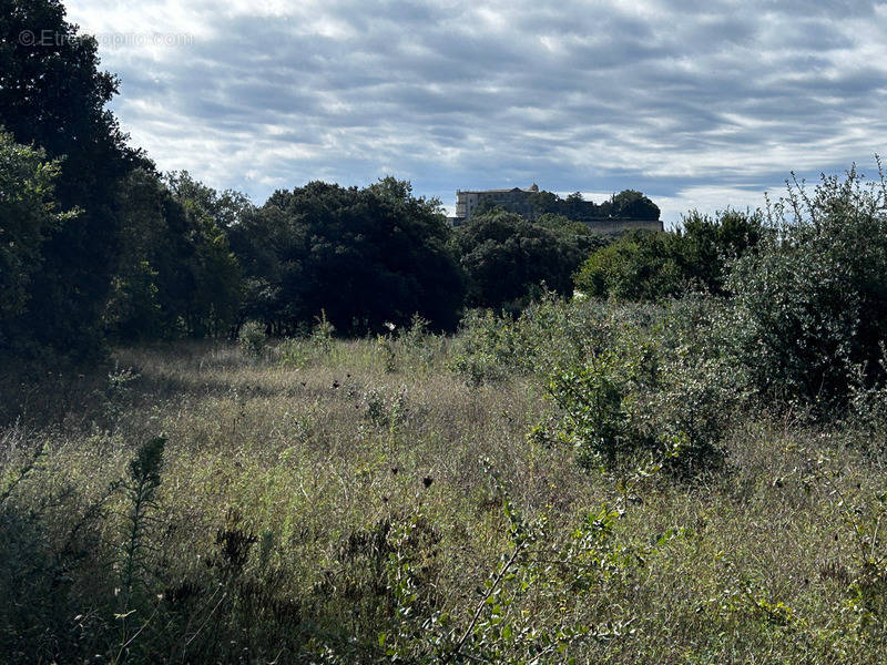 Terrain à GRIGNAN