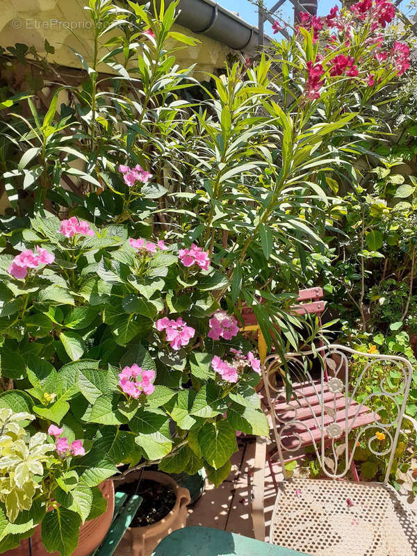 Appartement à BEZIERS