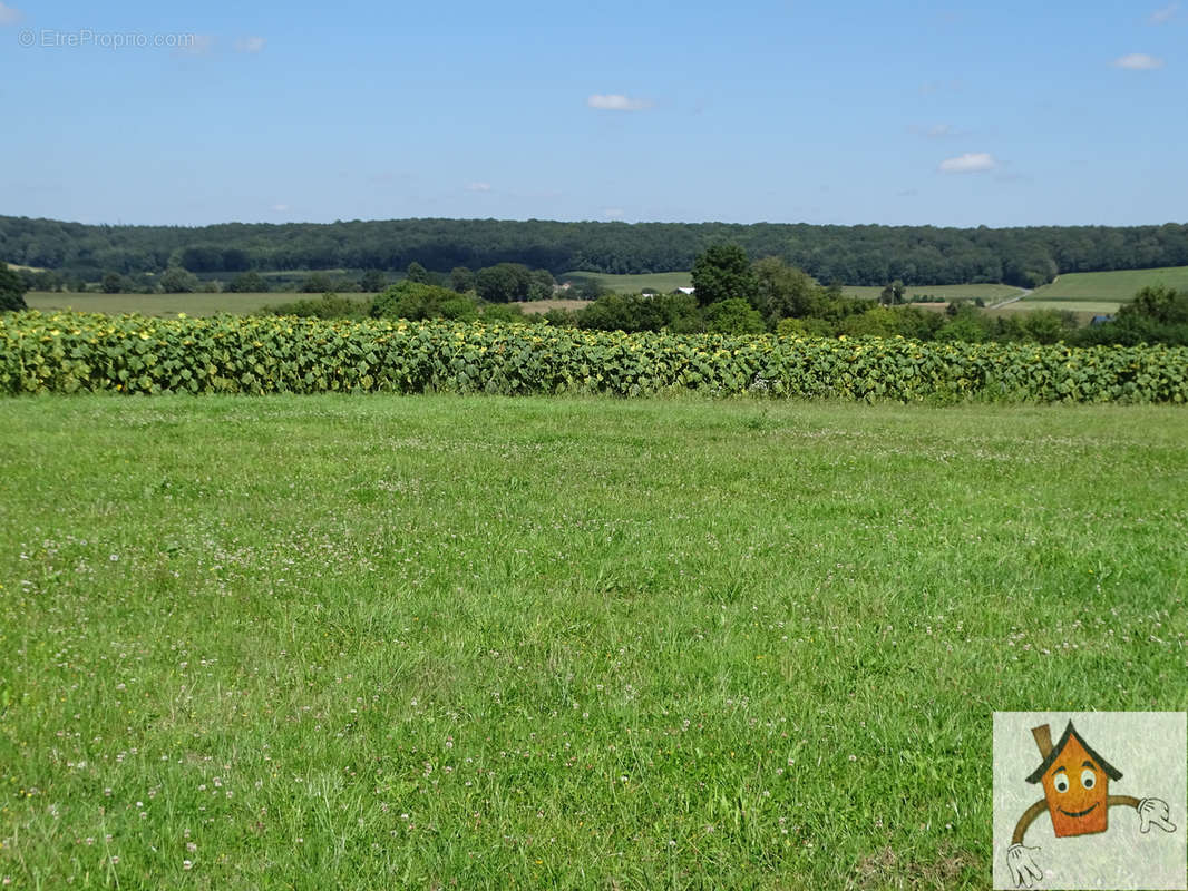 Terrain à BOULOIRE