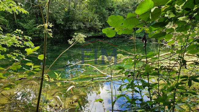 Terrain à FORMERIE