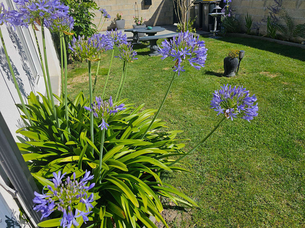 Maison à ETAULES