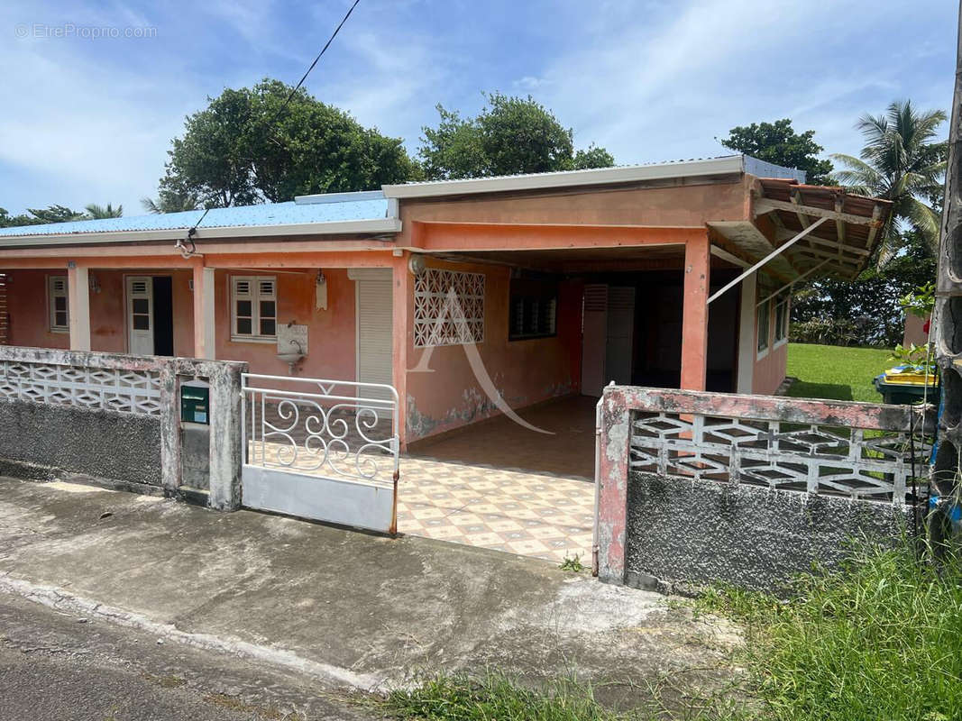 Maison à BASSE-POINTE