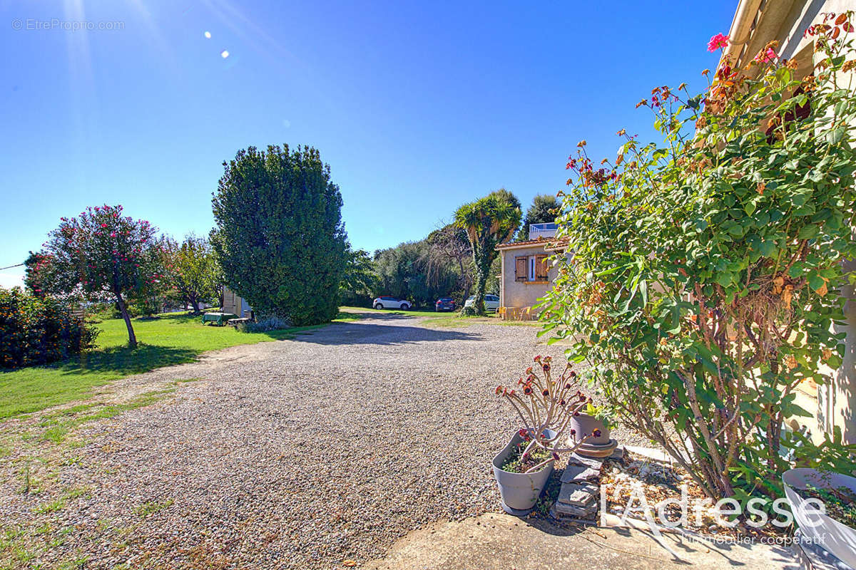 Maison à BORGO