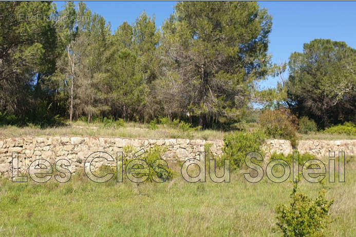 Terrain à CAMPS-LA-SOURCE