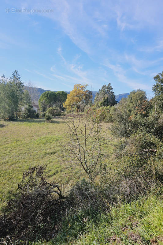 Terrain à CAMPS-LA-SOURCE