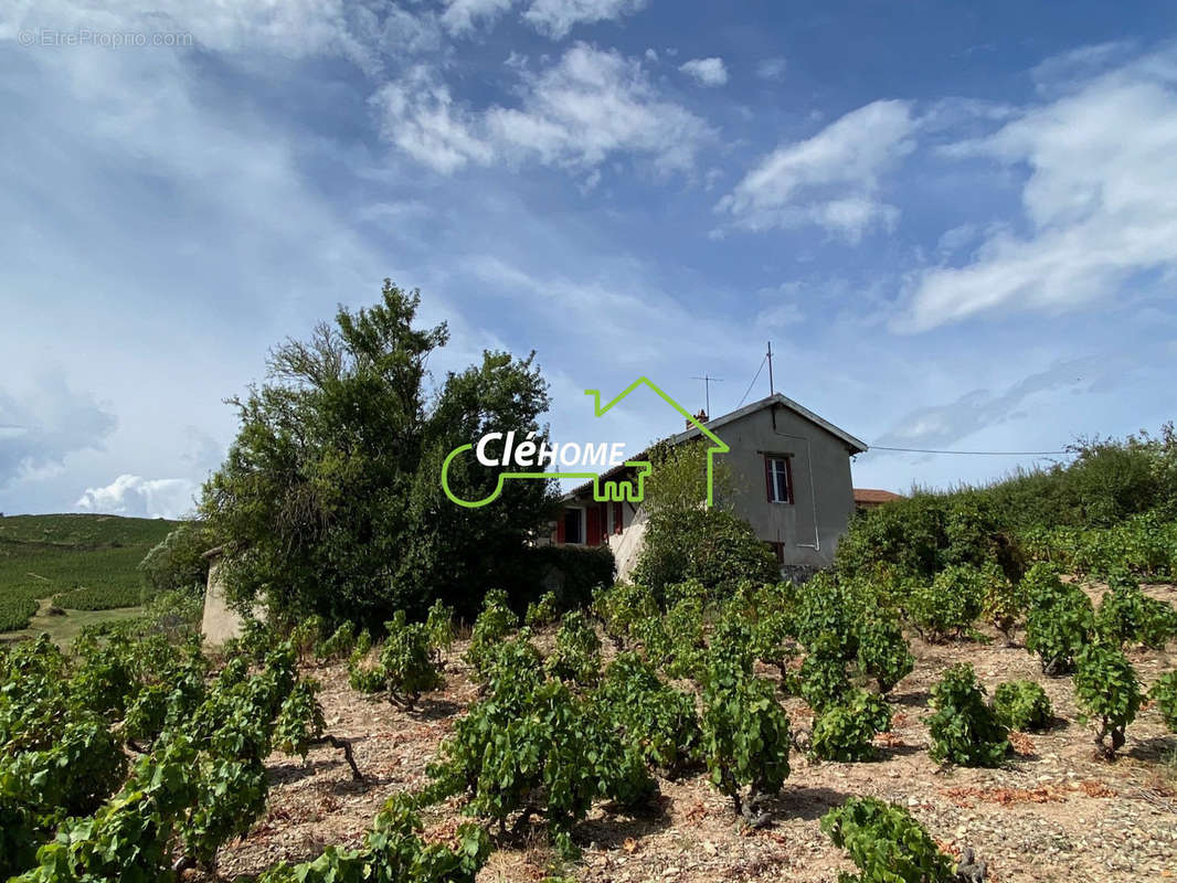 Maison à FLEURIE