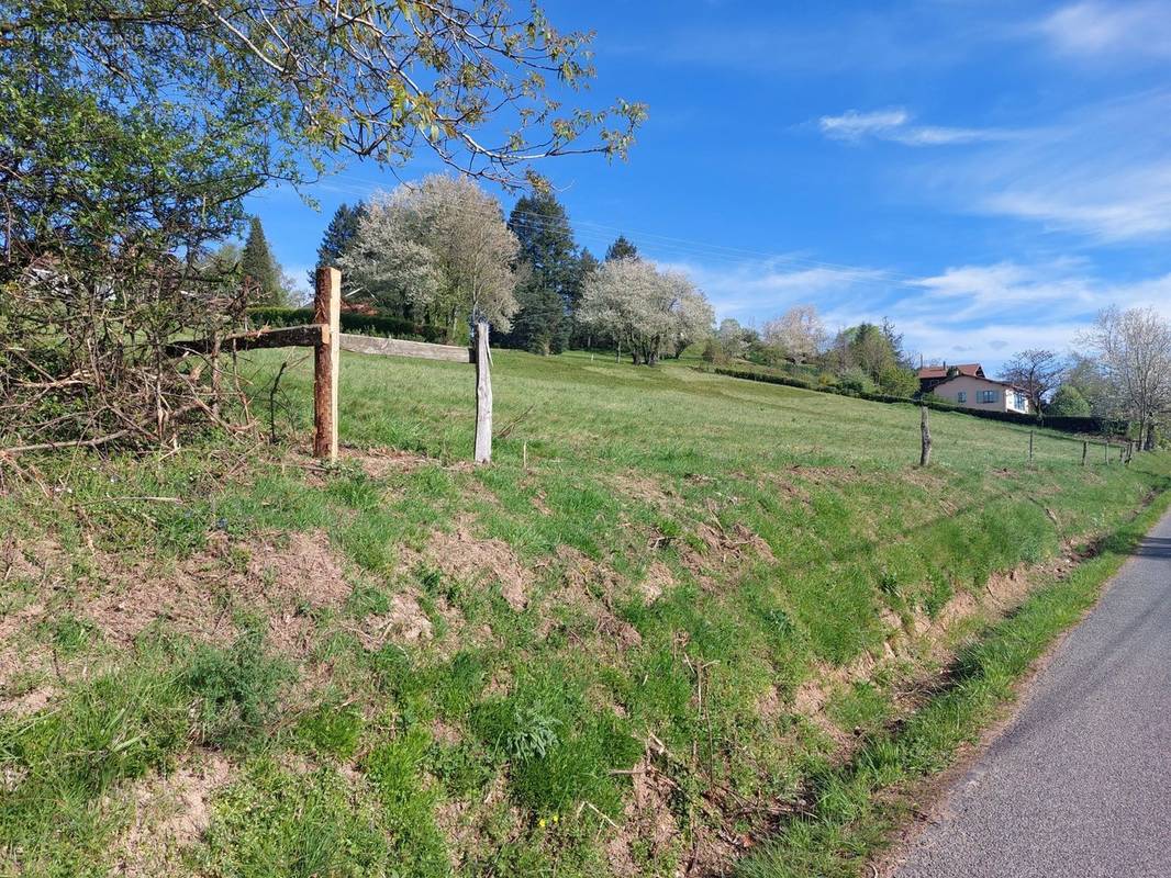 Terrain à SAINT-IGNY-DE-VERS