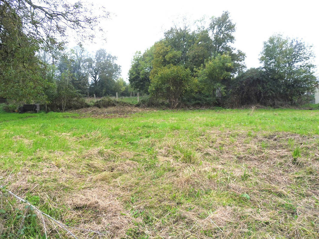 Terrain à AZAY-LE-BRULE