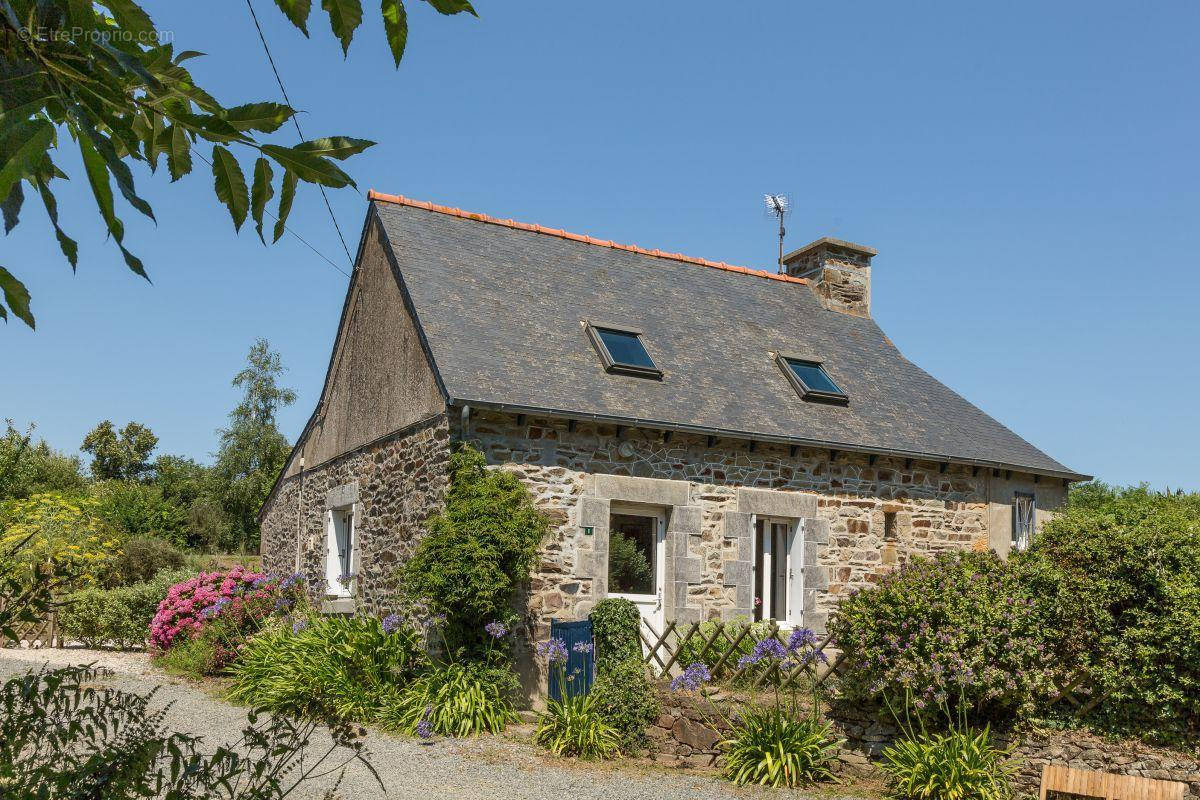 Maison à LEZARDRIEUX