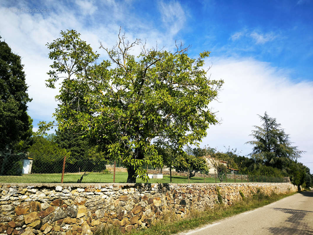 Terrain à LA BRUGUIERE