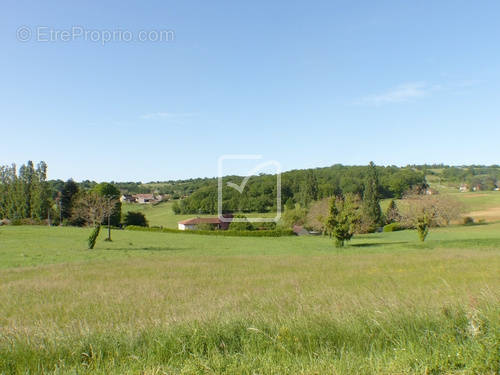 Terrain à SAINT-PROJET