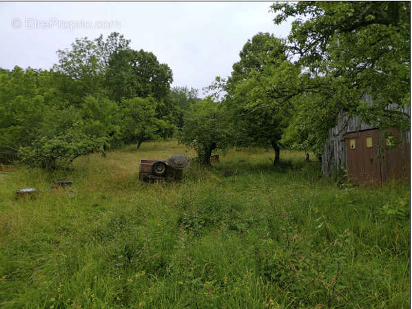 Terrain à MONTMOROT