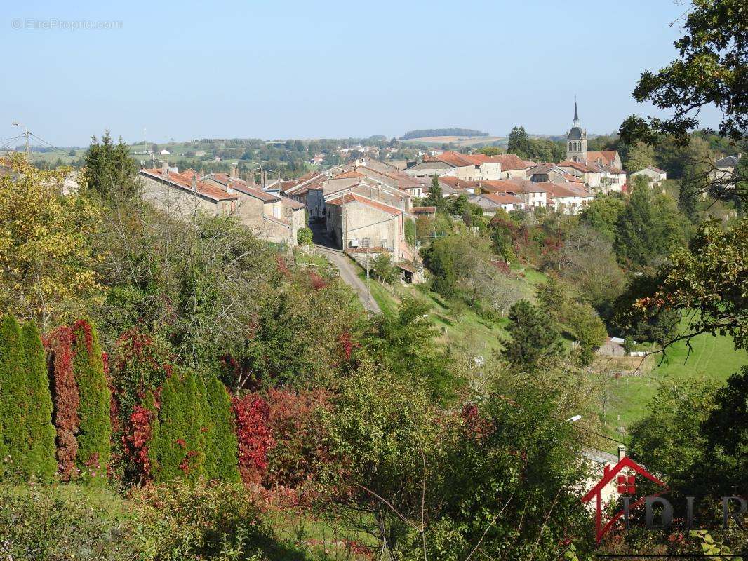 Maison à CHATILLON-SUR-SAONE