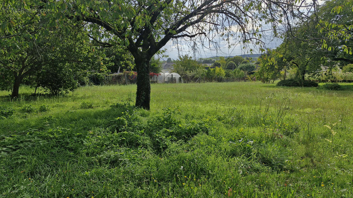 Terrain à SAUMUR