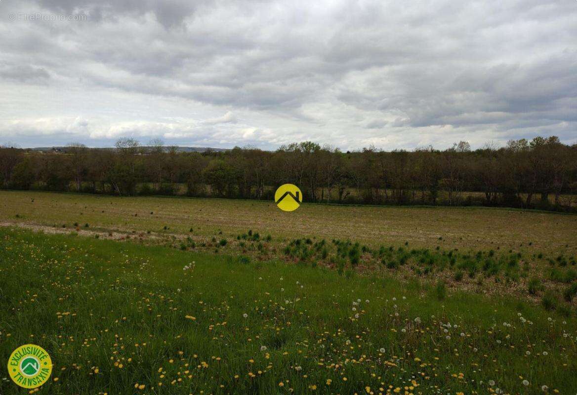 Terrain à SAINT-GEORGES-SUR-MOULON