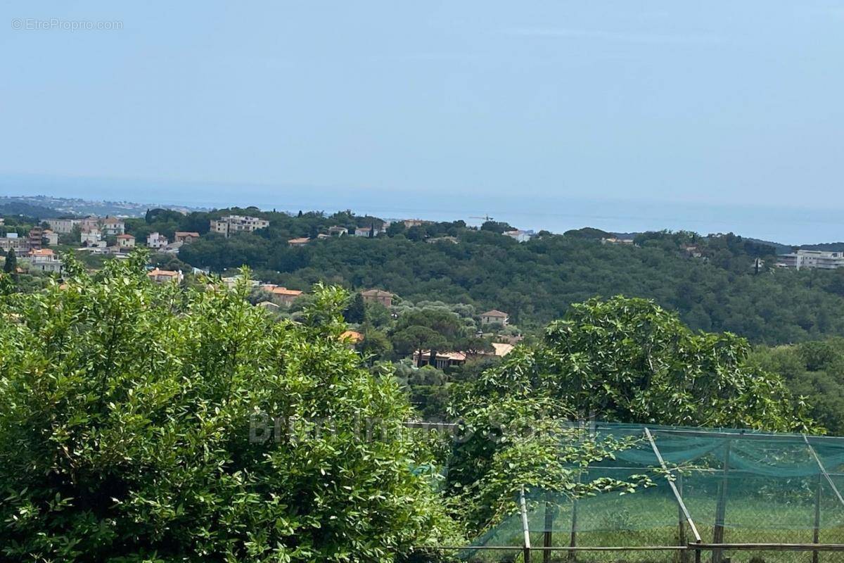 Terrain à VENCE