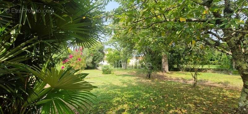 Appartement à CAZAUBON