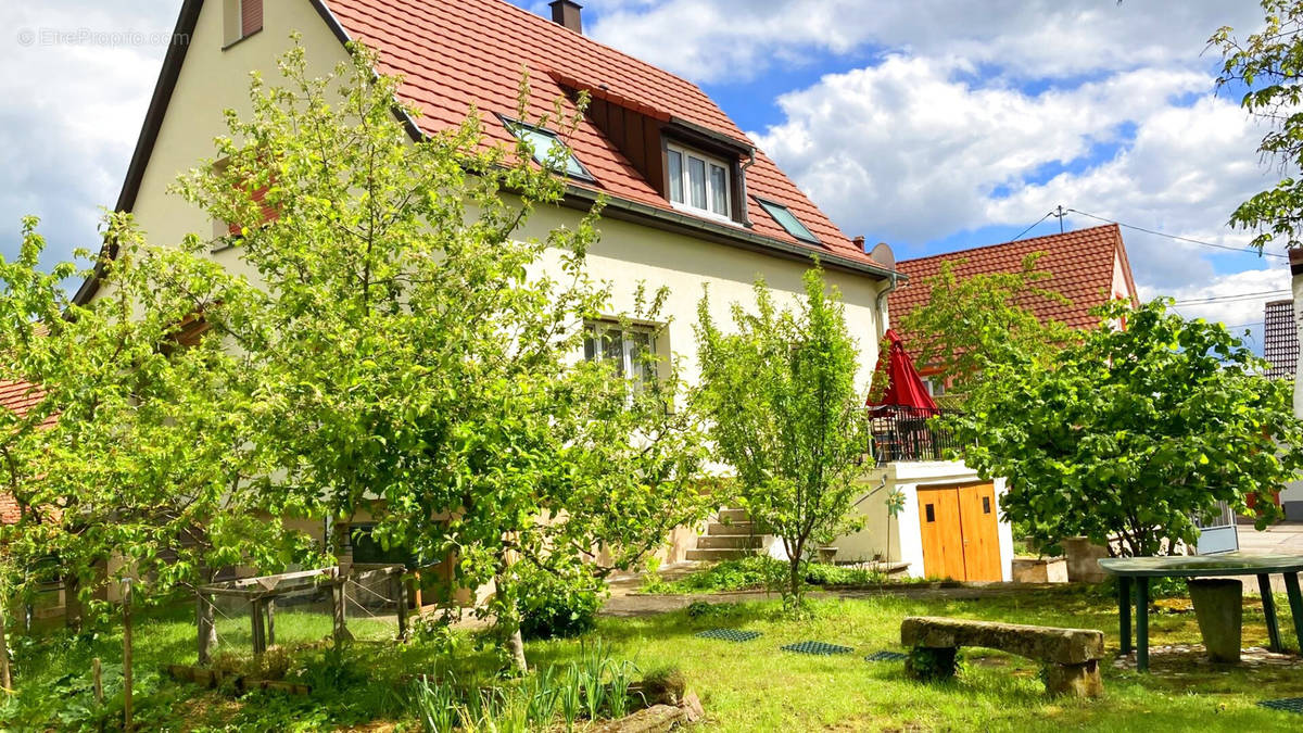 Appartement à BISCHWILLER