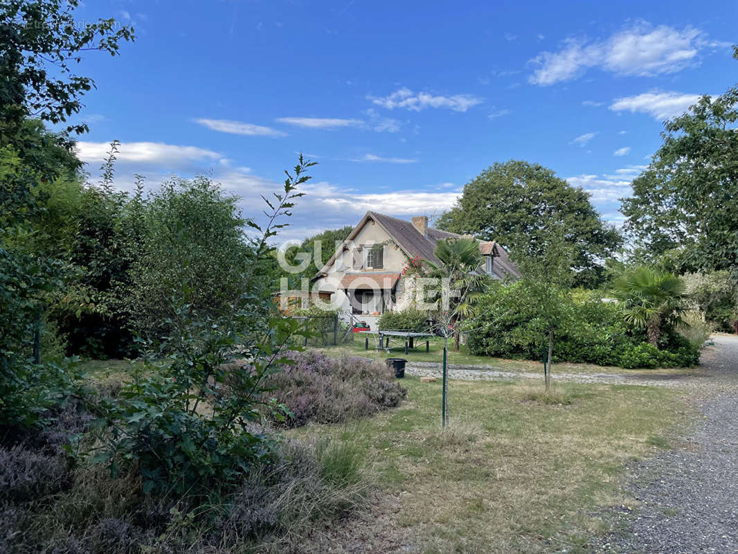 Maison à LAMOTTE-BEUVRON