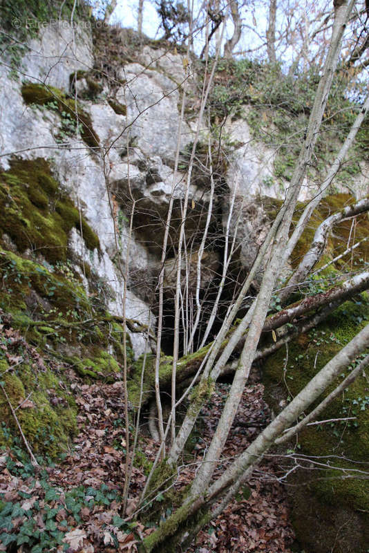 Terrain à SAINT-PIERRE-DE-MAILLE