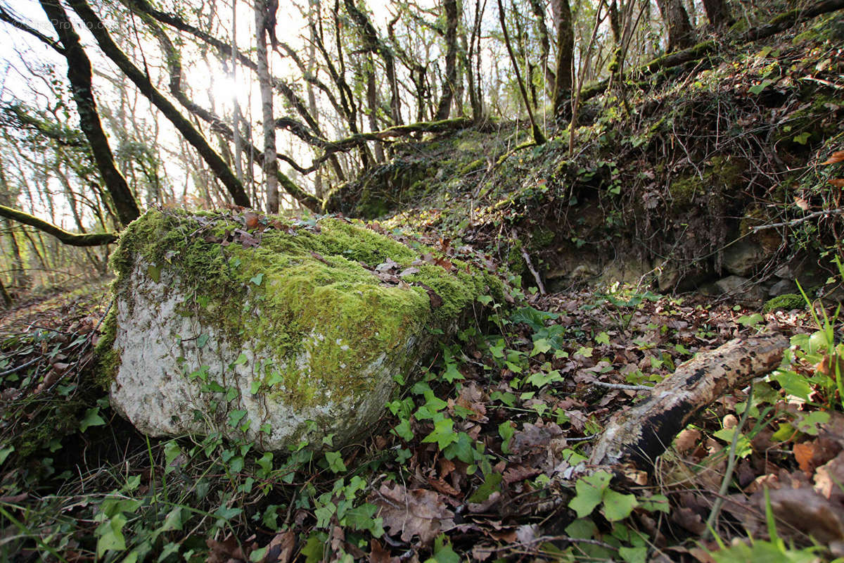 Terrain à SAINT-PIERRE-DE-MAILLE