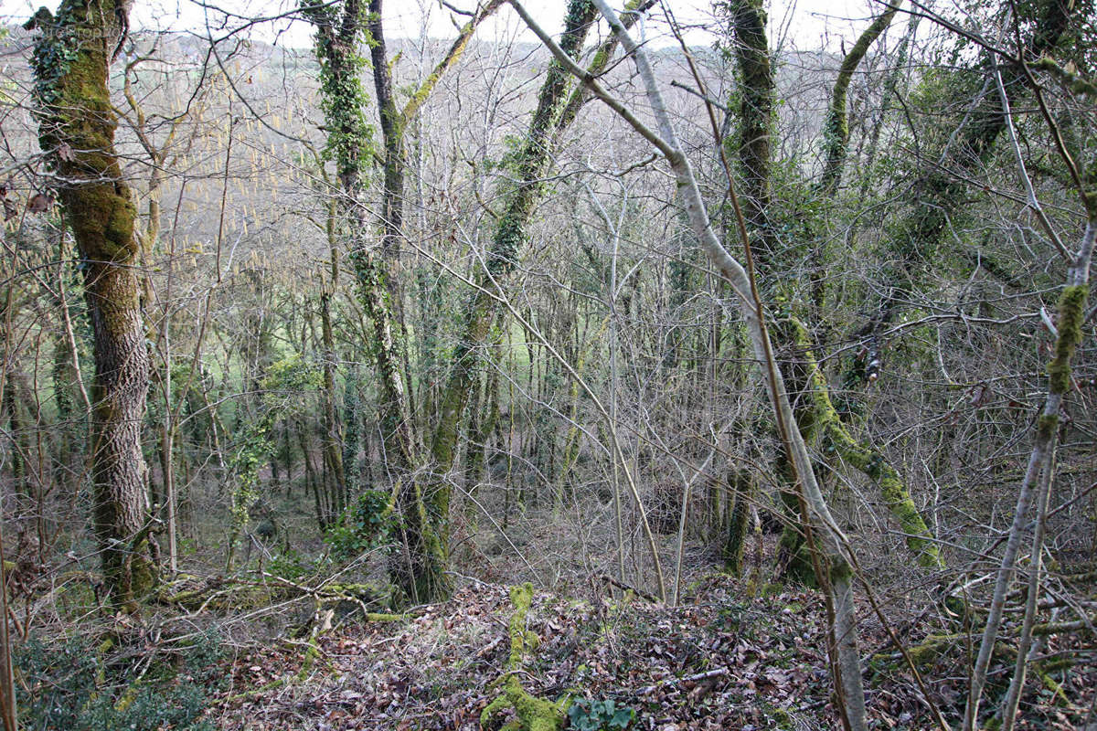 Terrain à SAINT-PIERRE-DE-MAILLE