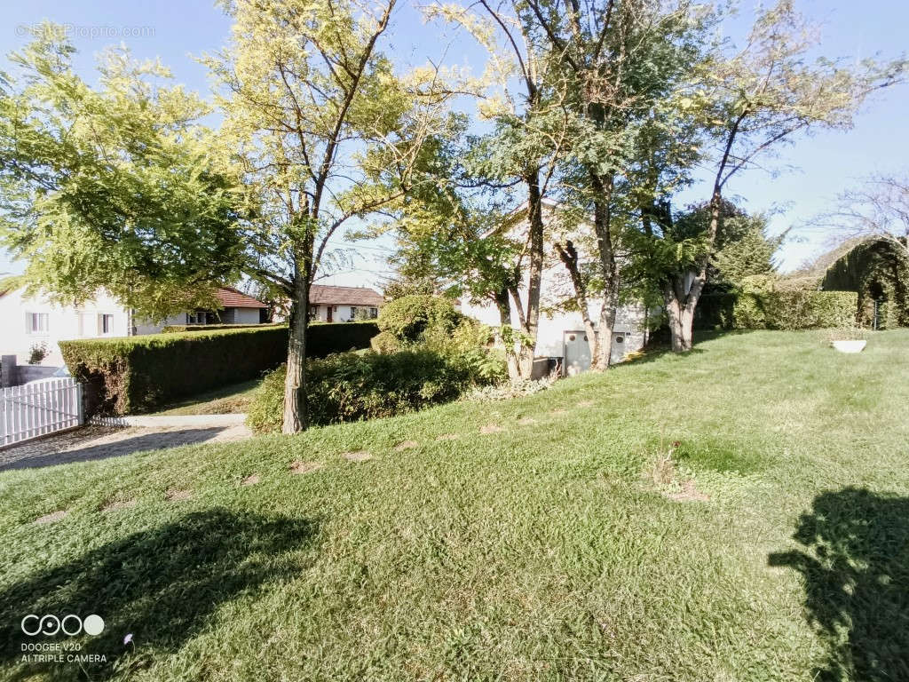 Maison à BELLENEUVE