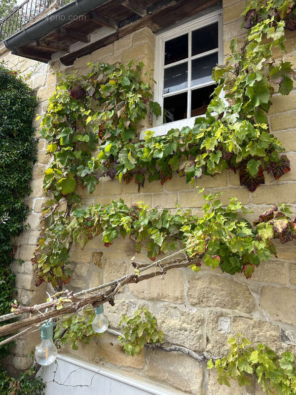 Maison à LE MESNIL-LE-ROI