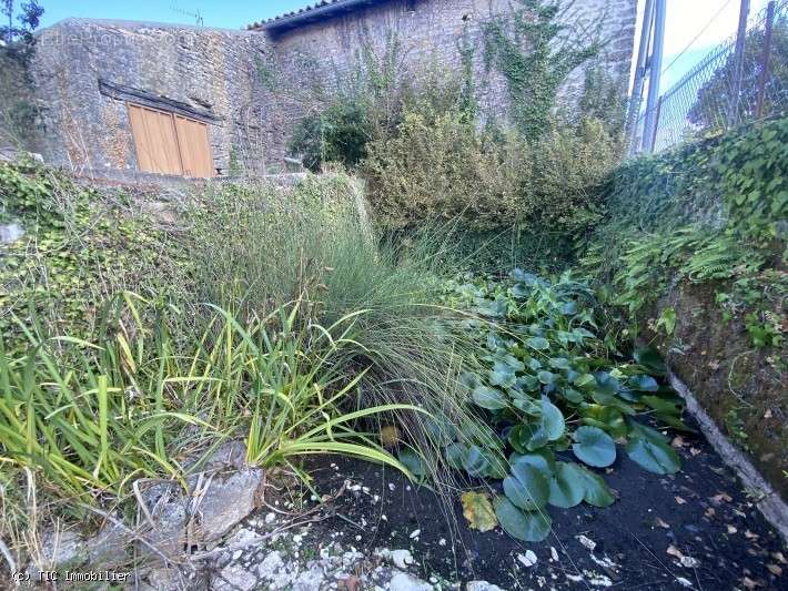 Maison à VERTEUIL-SUR-CHARENTE