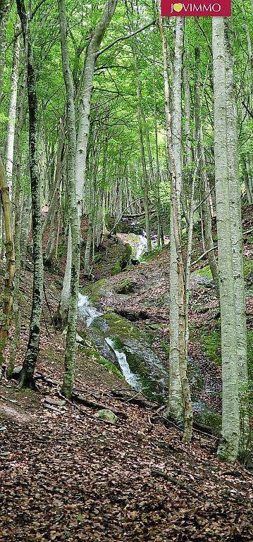 Terrain à ARRENS-MARSOUS