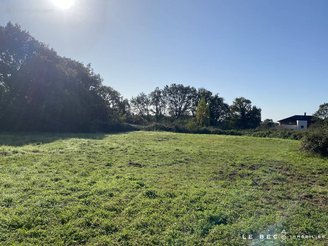 Terrain à VANNES