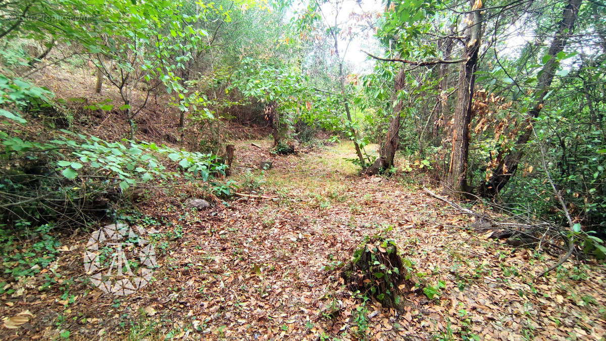 Terrain à LAROQUE-DES-ALBERES