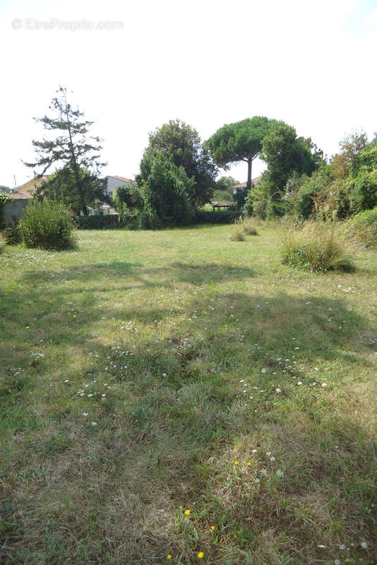 Terrain à SAINT-GEORGES-DE-DIDONNE