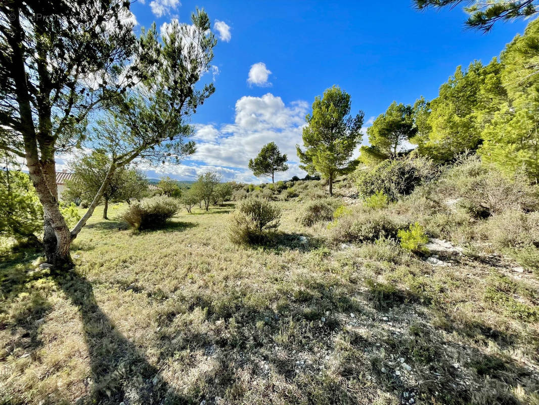 Terrain à PEYRIAC-DE-MER