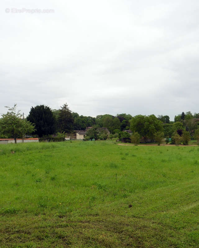 Terrain à VILLENEUVE-L&#039;ARCHEVEQUE