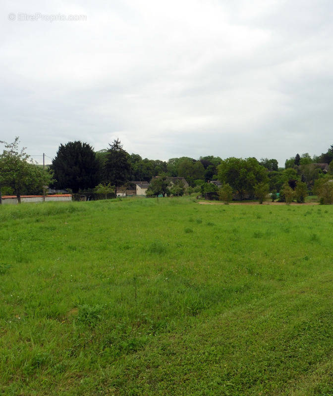 Terrain à VILLENEUVE-L&#039;ARCHEVEQUE