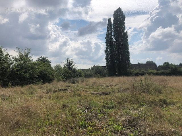 Terrain à BEAUCAMPS-LE-VIEUX