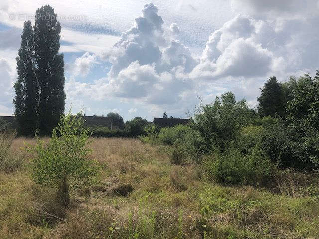 Terrain à BEAUCAMPS-LE-VIEUX