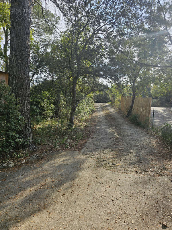 Terrain à LA ROQUE-D&#039;ANTHERON