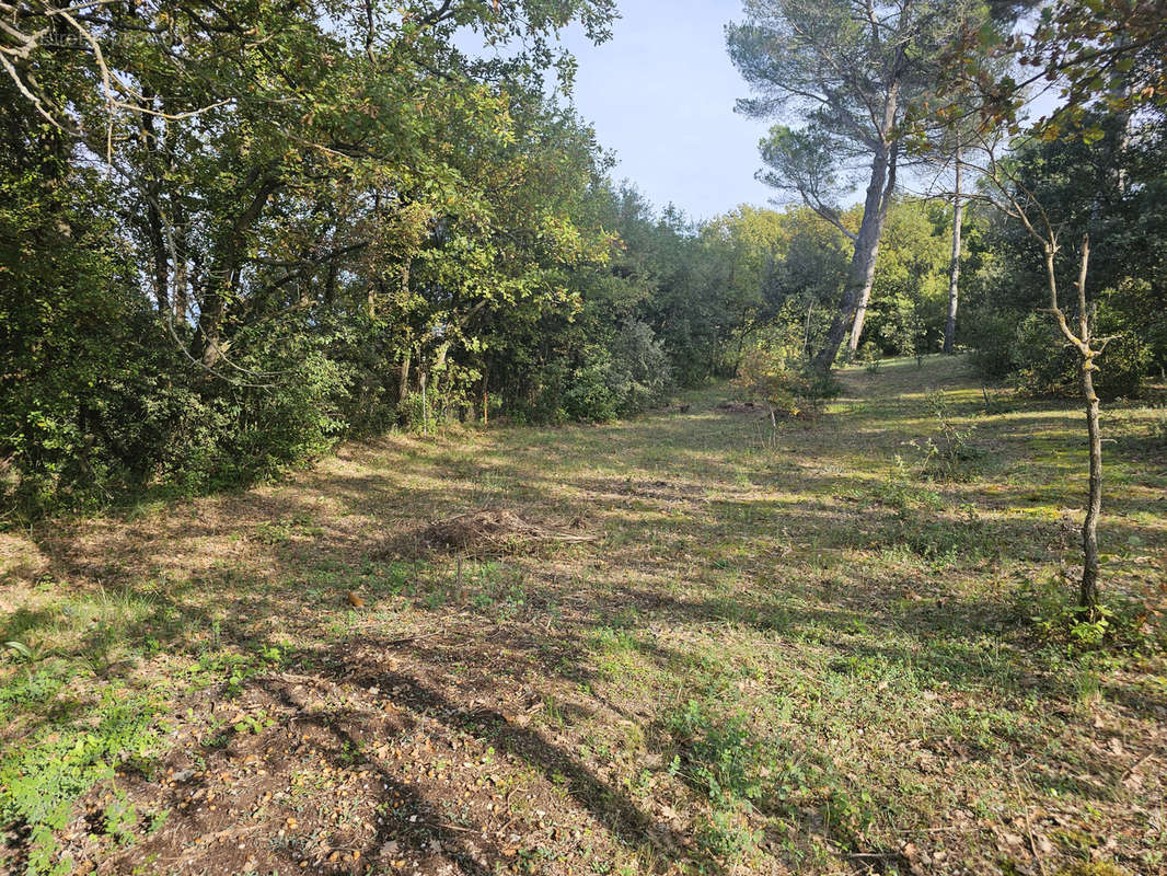 Terrain à LA ROQUE-D&#039;ANTHERON