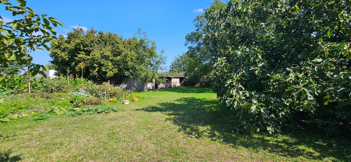 Maison à SAINT-LAURENT-DES-VIGNES