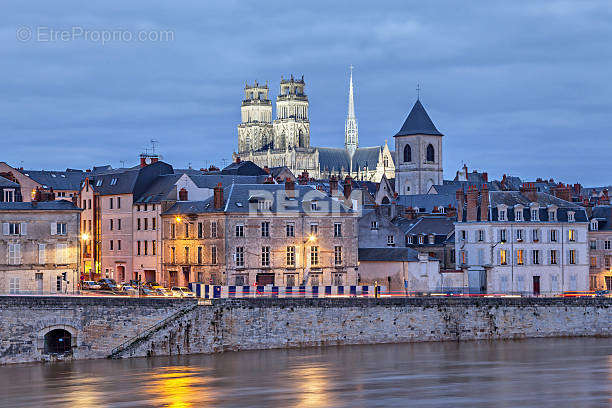 Maison à ORLEANS