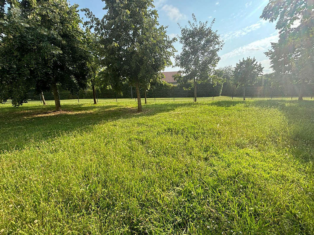 Appartement à MOULINS-LES-METZ