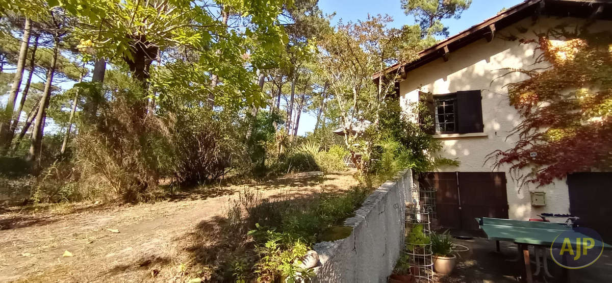 Maison à LEGE-CAP-FERRET