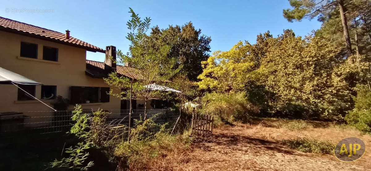 Maison à LEGE-CAP-FERRET