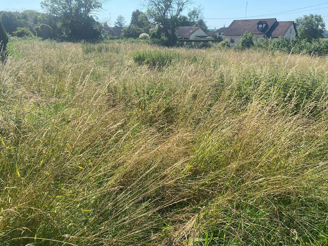 Terrain à SAINT-PIERREMONT