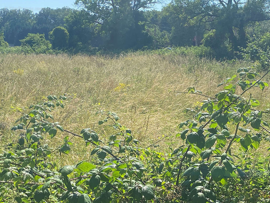 Terrain à SAINT-PIERREMONT