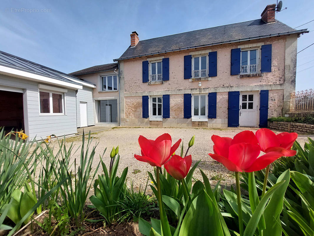 Maison à VENDEUVRE-DU-POITOU