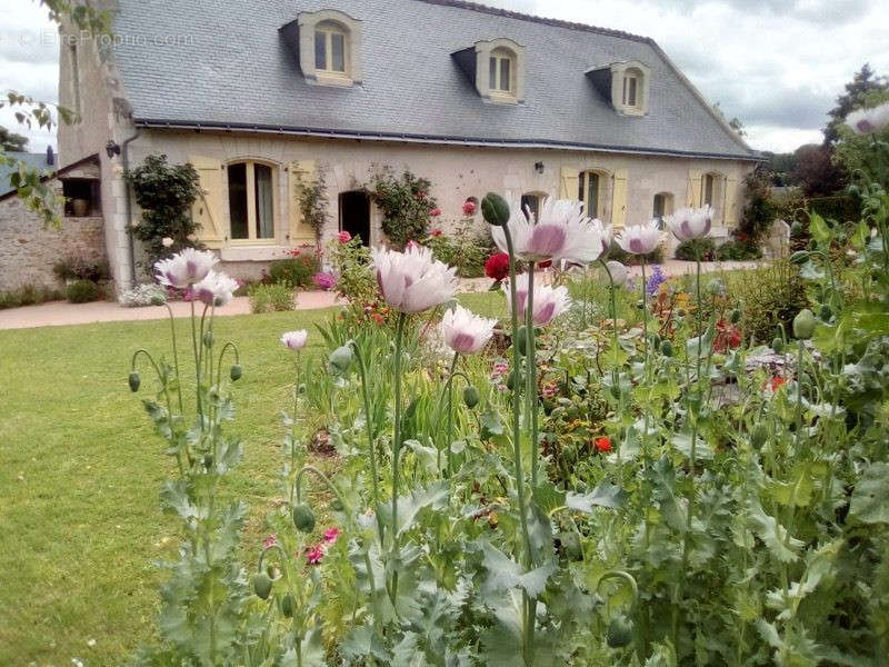 Maison à BALLAN-MIRE