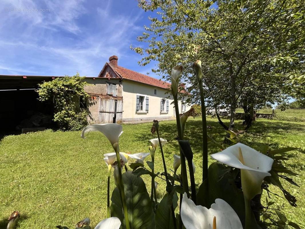 Maison à BEDEILLE